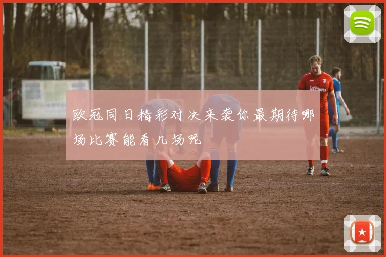 欧冠同日精彩对决来袭你最期待哪场比赛能看几场呢